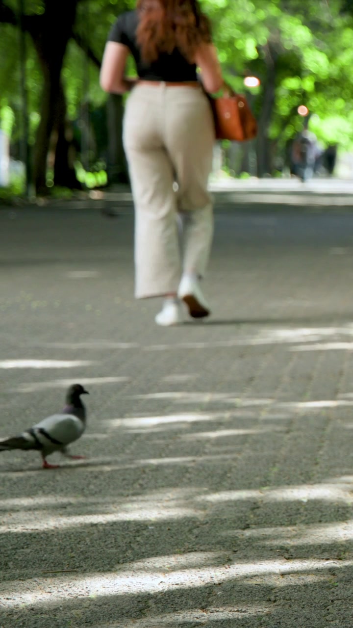 Vertical video: Camera tracking woman walking in black top holding brown bag, pigeon crossing path