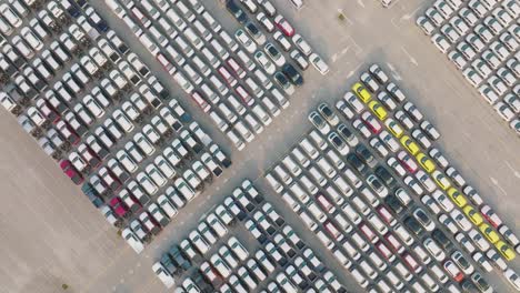 aerial view of large parking new cars distribution center of modern seaport.