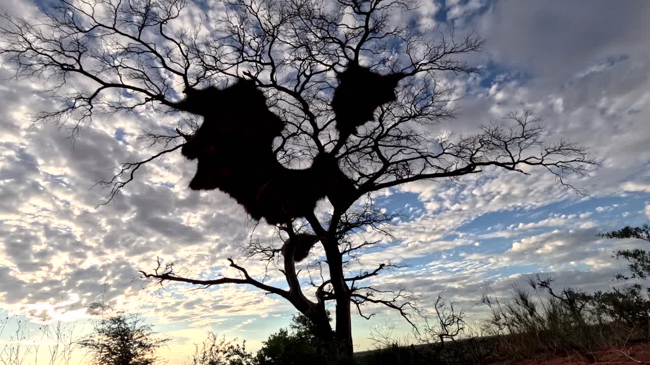 이 타임스는 하늘을 가로지르는 구름의 우아한 움직임을 포착합니다.