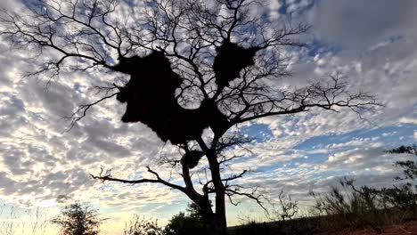 Este-Timelapse-Captura-El-Elegante-Movimiento-De-Las-Nubes-En-El-Cielo