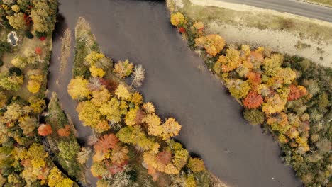 Herbstblätter