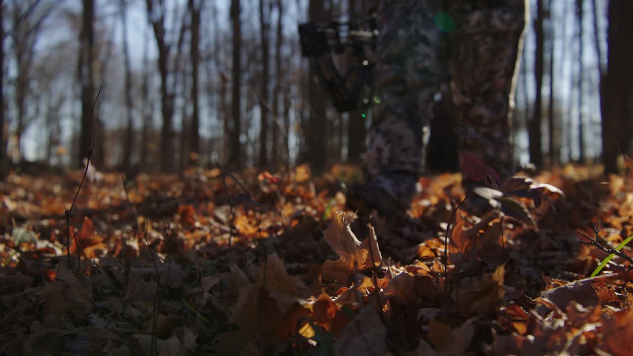 Bow Hunter Walks Through Woods During Hunting Season