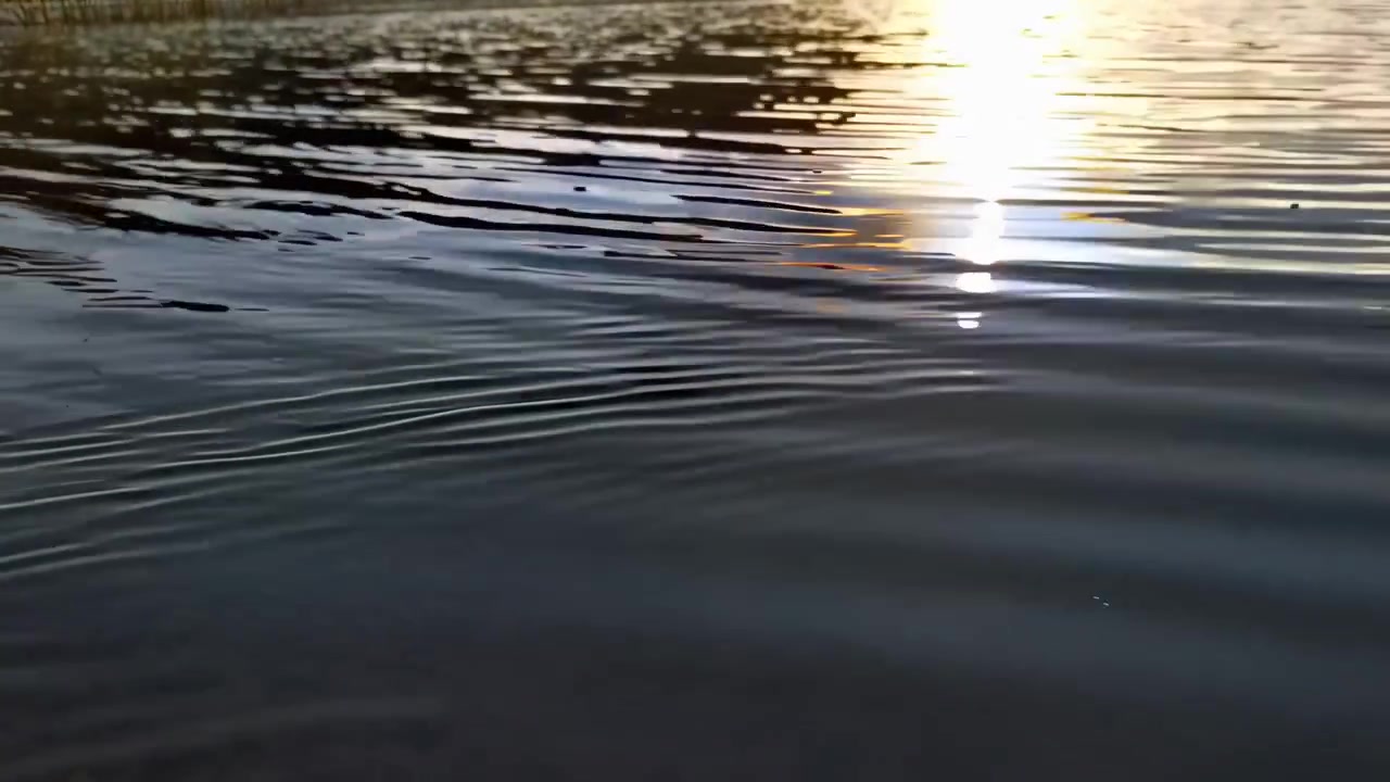 Golden Sunset Light Reflecting on Gentle Lake Water Ripples