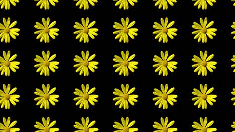 seamless yellow daisy pattern animation