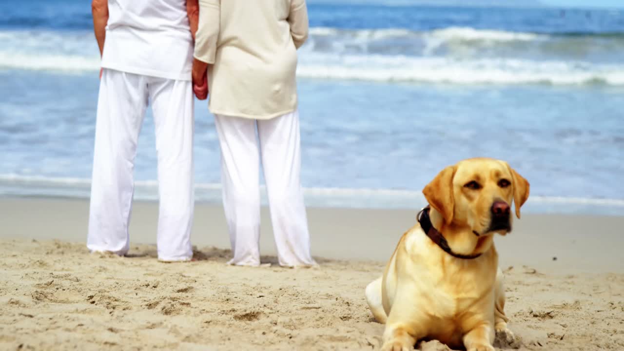해변 에 서 있는 고위 부부