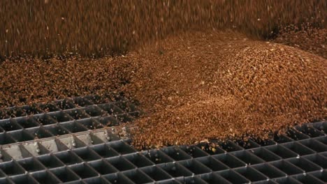 wheat flows into a gutter-grate after harvesting