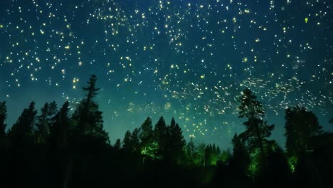 fireworks display over forest at night