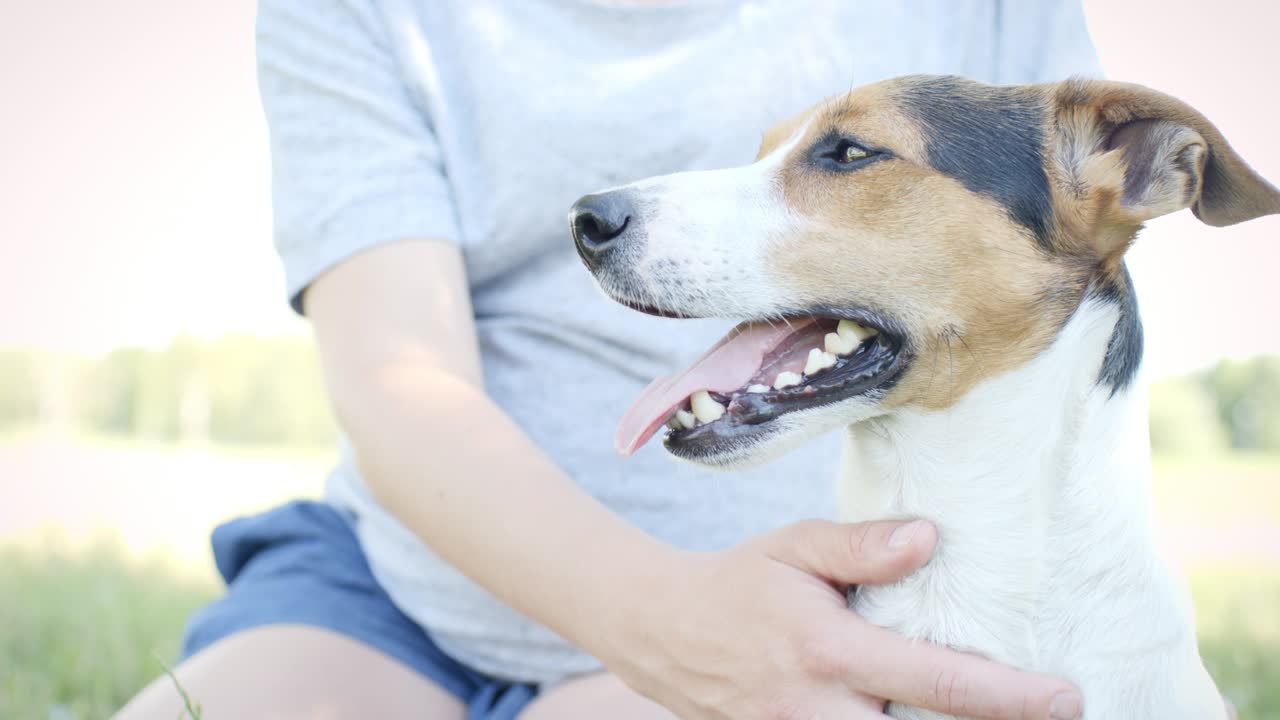 잔디에 개와 함께 있는 여자