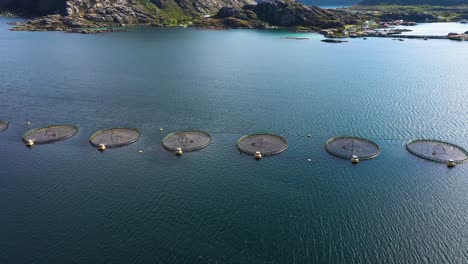 aerial footage farm salmon fishing in norway