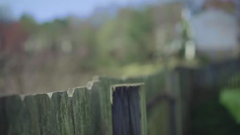 shot of wooden fence with treeline and blue sky in the background, shot in 120 fps