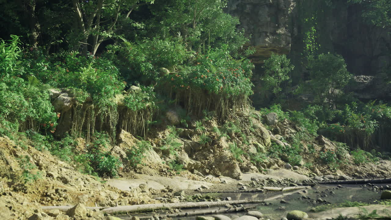 Lush green vegetation along a rocky riverbank in a serene forest setting