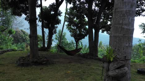 tiempo de relax en una hamaca en ella