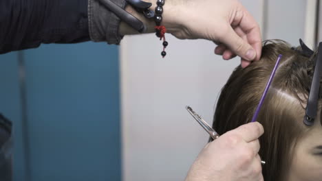 process of cutting hair. hair dresser is dyeing hair of beautiful woman in barber shop