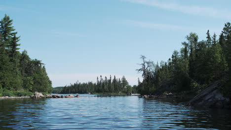 Pov-Schwimmt-Durch-Die-Wildnis-Des-Randgewässers-Des-Kanugebiets