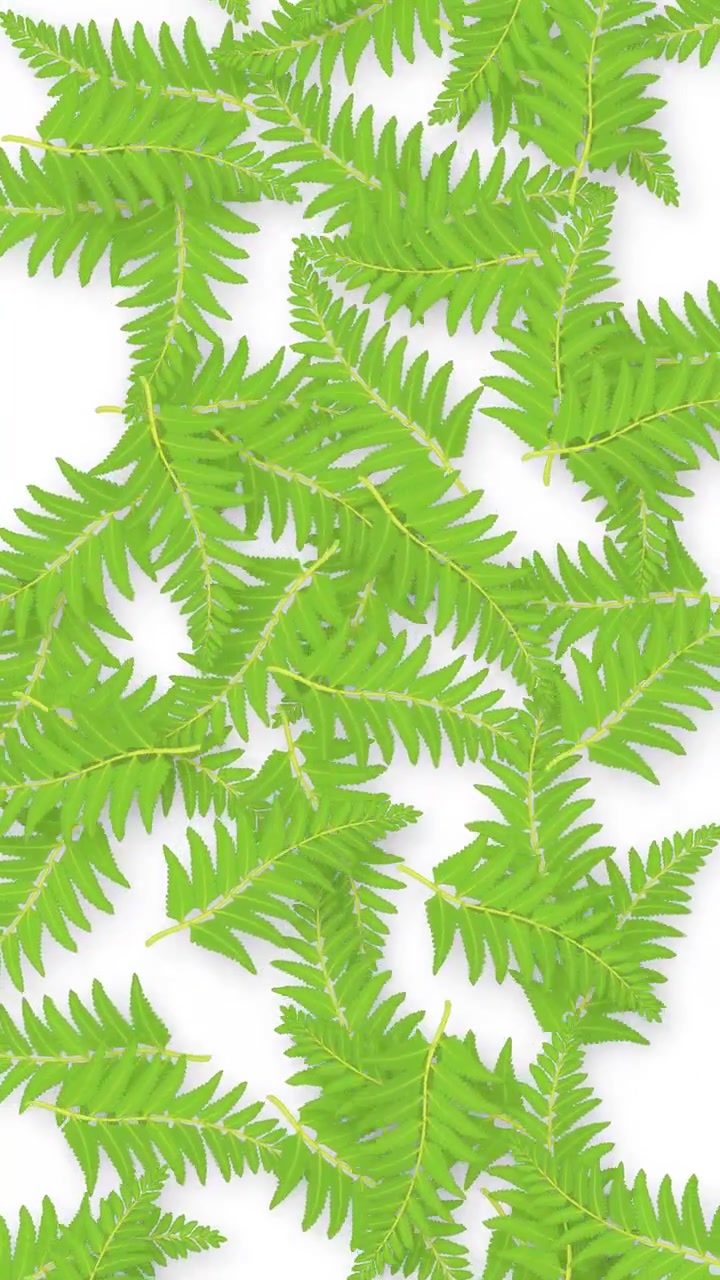 Hojas de helecho verdes caen y se precipitan hacia abajo sobre un fondo blanco limpio en orientación vertical
