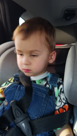 cute calm caucasian toddler sitting in the baby car seat. lovely baby leans forward to get something. close up. vertical video.