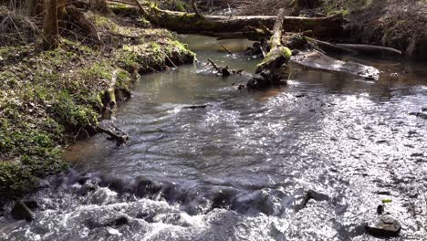 idyllic creek named schaich in the schönbuch nature reserve near stuttgart in southern germany