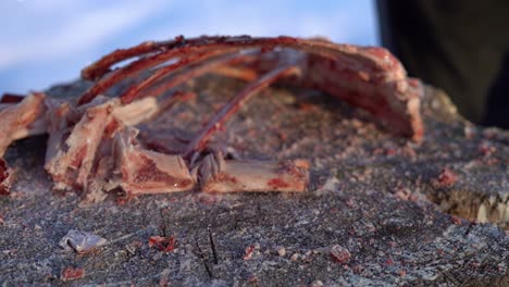 person using axe to chop up deer bones for making homemade bone broth