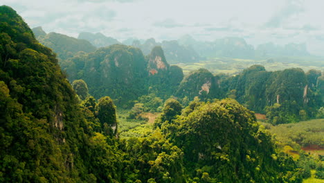 scenic aerial view of lush karst mountains and tropical forest