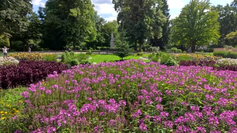 a camera slowly pans over vibrant pink flower beds in a landscaped berlin park on a sunny day, highlighting lush greenery and colorful blooms