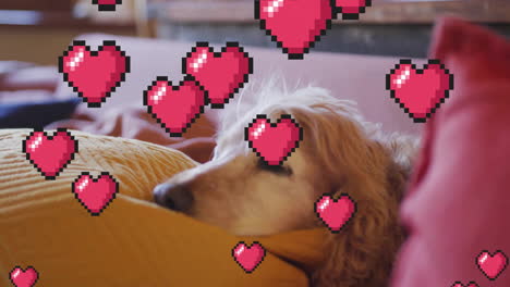 Perro-Durmiendo-Sobre-Un-Cojín-Amarillo-Con-Animación-De-Corazones-Pixelados-Flotando-Encima