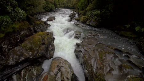 panning lungo un fiume che scorre veloce