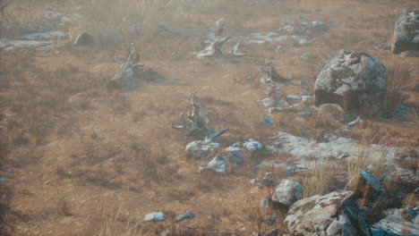 dry-grass-and-rocks-landscape