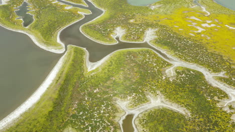 una vista de pájaro revela la cautivadora belleza de las llanuras de carrizo a los pies de las colinas en california, mostrando vastos paisajes y impresionantes vistas naturales.