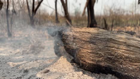 close-up of a burning log with smoke rising from inside.