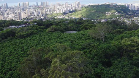 stationary shot from a mountain viewpoint of the city of honolulu hawaii with the pacific ocean in the background as bird fly by and clouds shadow the hillside