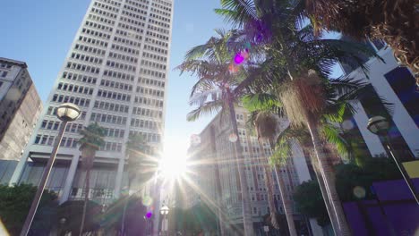 cityscape view with sun flare central los angeles. palm trees next to skyscraper buildings downtown. la offices, hotels, apartments. commercial high-rise building