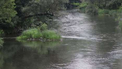 ancho río que fluye pacíficamente