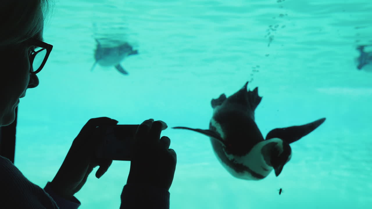 수족관에서 여자 영화 펭귄