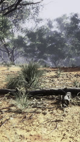 forgotten relic lies on a dusty landscape surrounded by lush vegetation