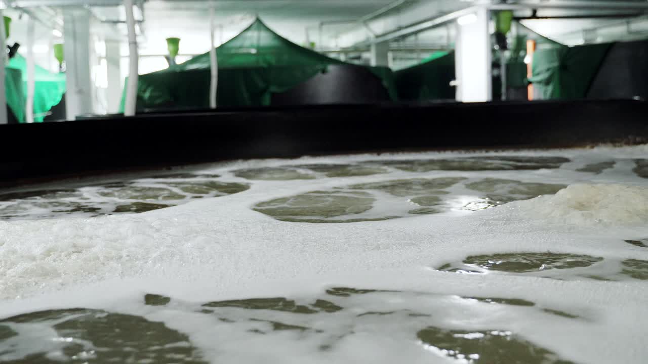 containers with water on a shrimp farm inside. Aeration of water in the pool