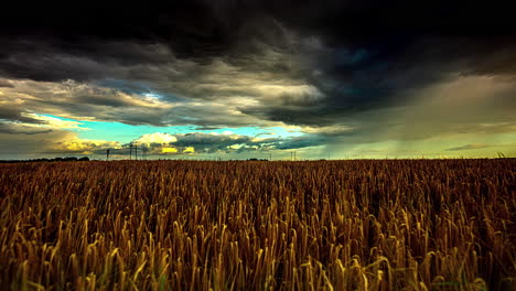 Nubes-Tormentosas-Ruedan-Sobre-El-Campo-De-Grano-Al-Atardecer,-Timelapse