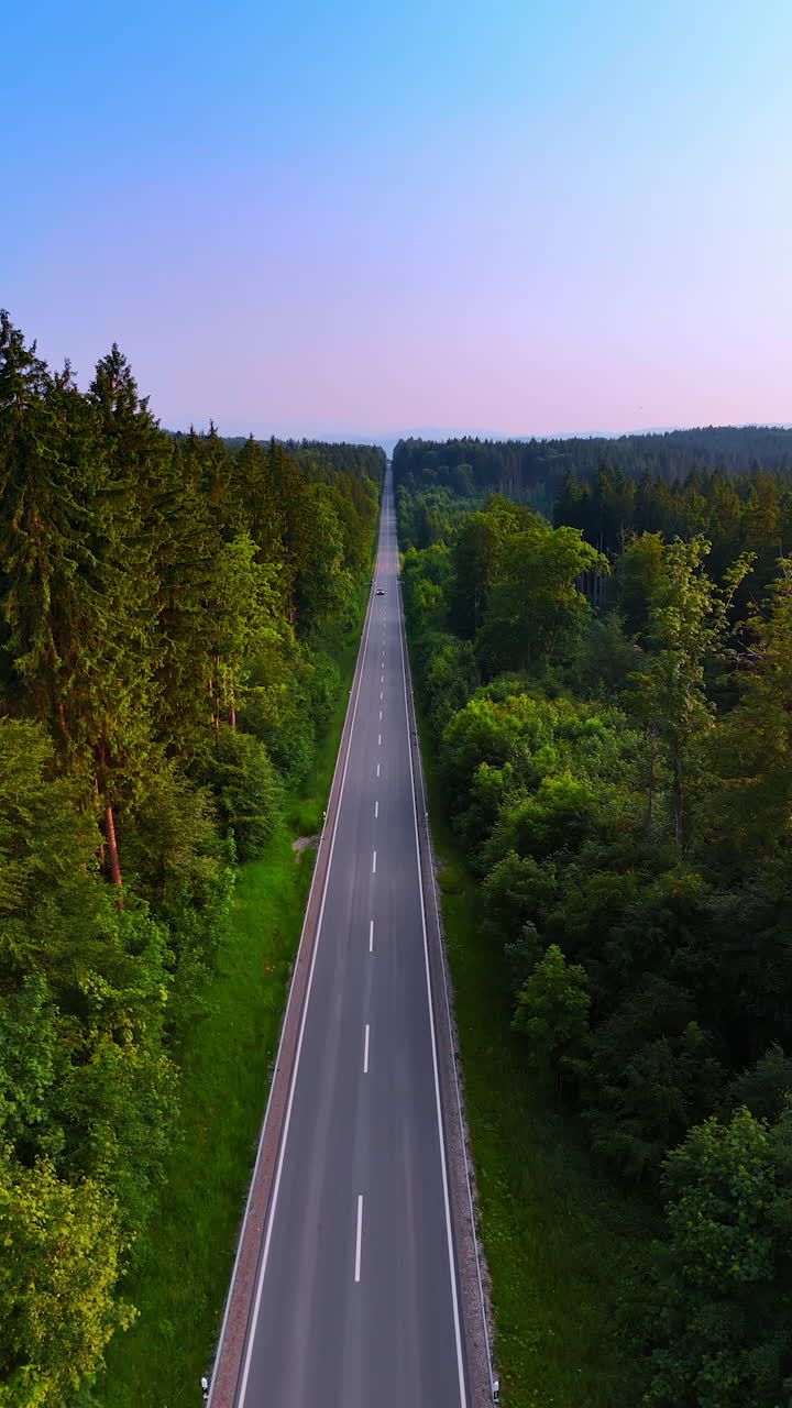 Moving over the modern straight road with some cars on. Highway through the wilderness. Vertical video