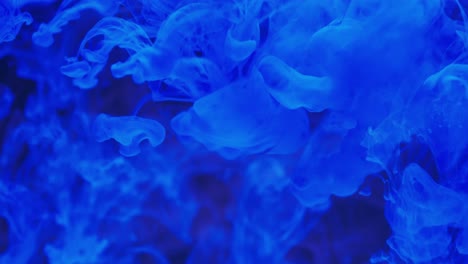 Slow-motion-video-of-blue-watercolor-ink-mixing-in-water-against-black-background