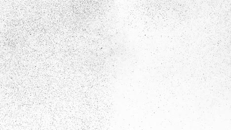 movimiento de ruido negro sobre fondo blanco.