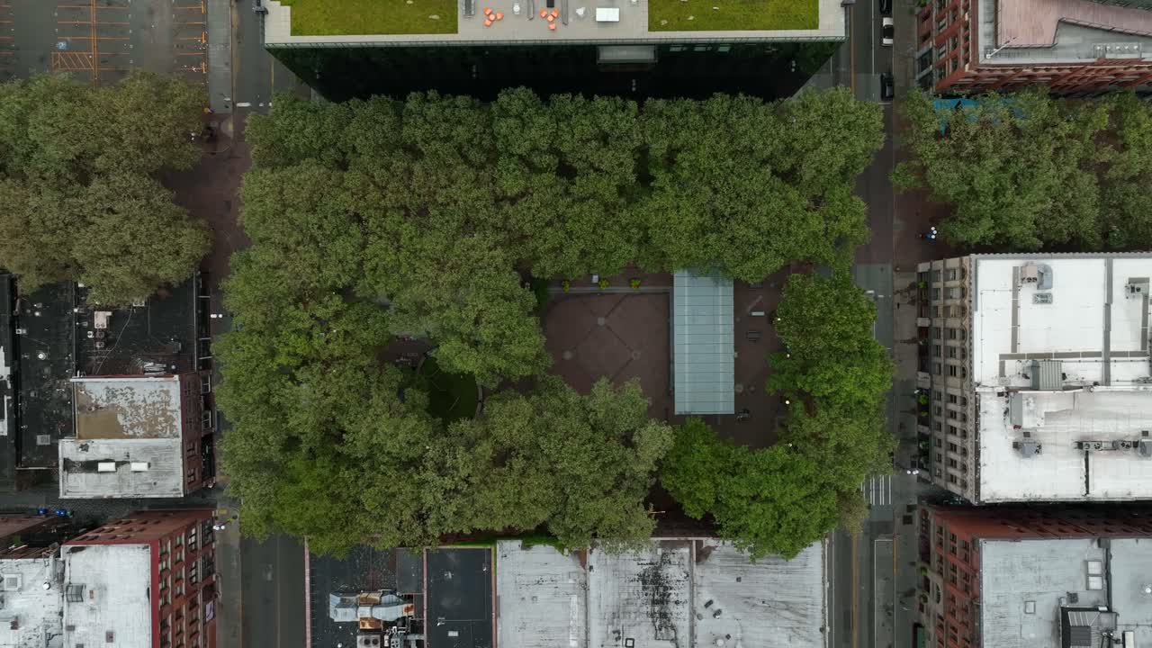 Top down drone shot of unique Occidental Square, an oasis full of trees in downtown Seattle