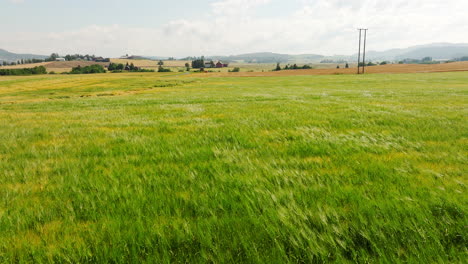 antena baja sobre campo de grano ondulado verde en una granja en el campo noruego