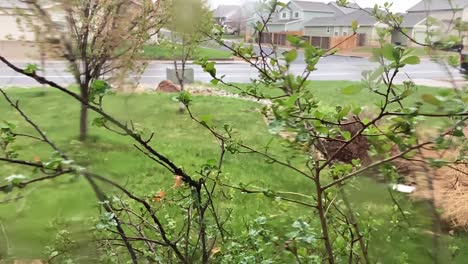 Regen-Tropft-In-Zeitlupe-Vom-Fenster-Und-Von-Den-Blättern