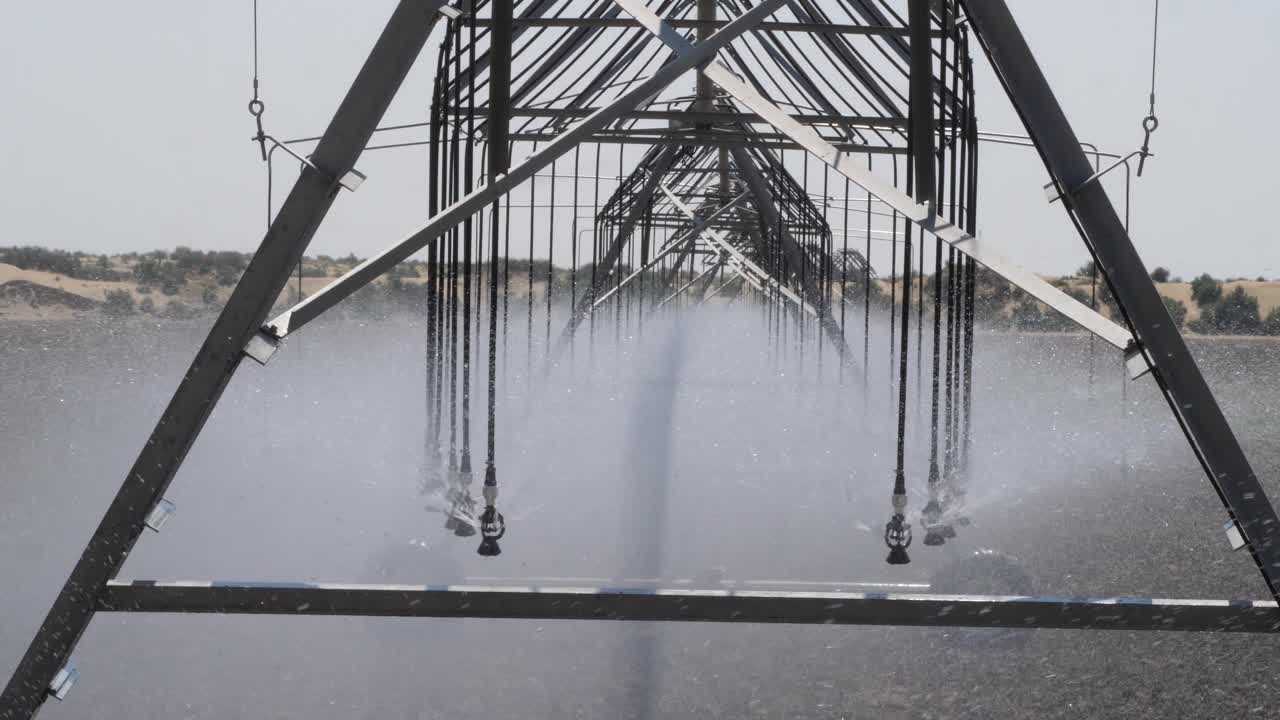 Side view pivot at work in potato field, watering crop for more growth