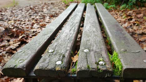 Panning-shot-across-wood-beam-seat-in-autumn-leafy-colours-park-area