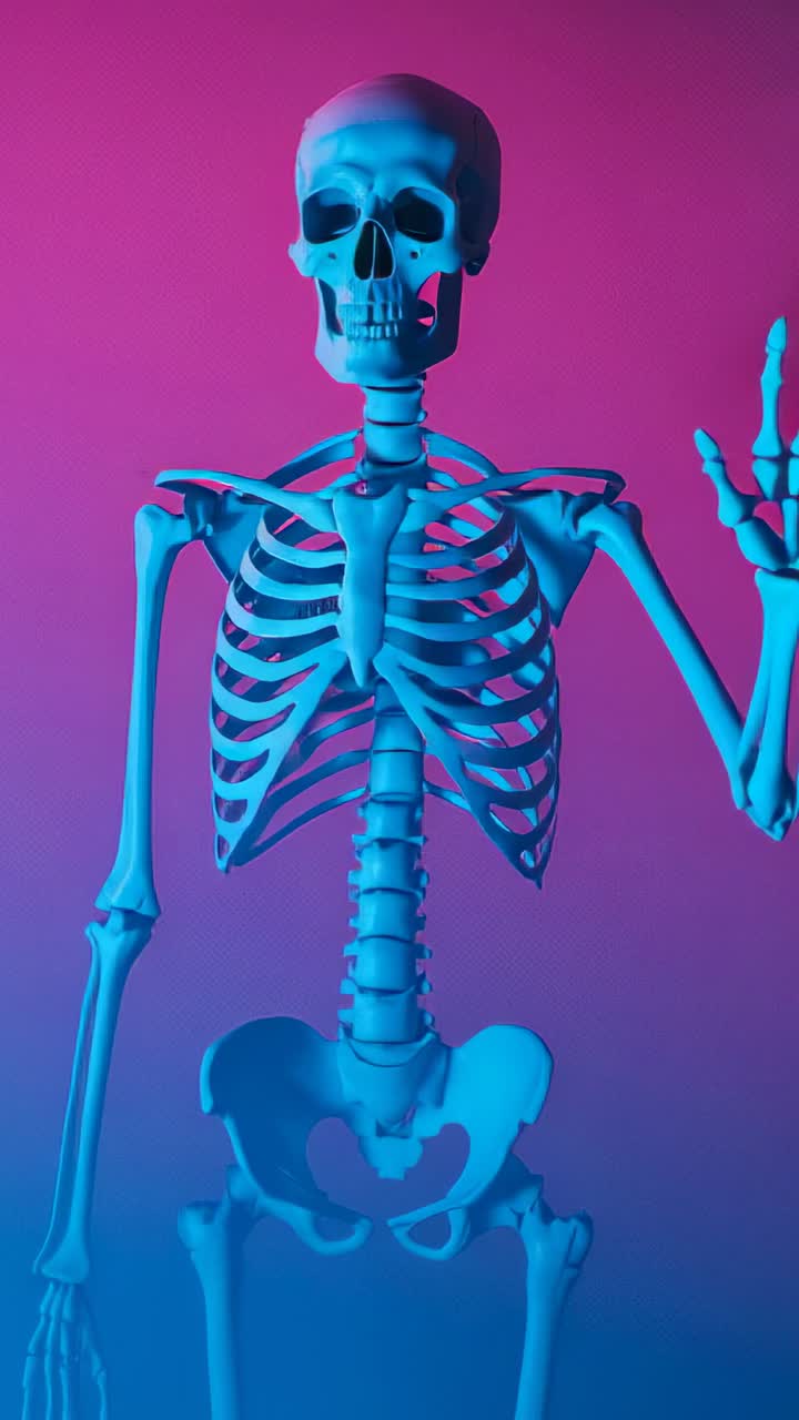 Vertical video: At third second skeleton waving right arm upward on gradient backdrop in greeting