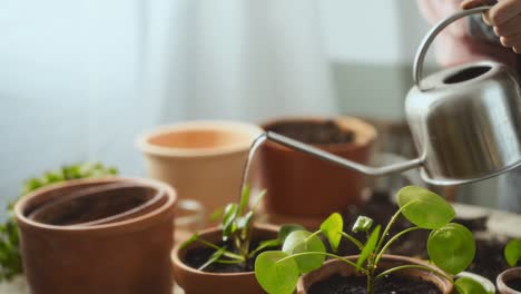 Crop-female-gardener-watering-plants