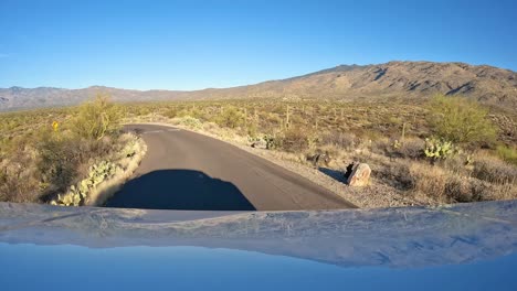 point of view - driving thru saguaro forest in saguaro national park in arizona