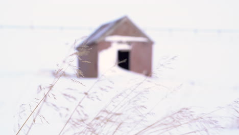 stable shot, change of focus from grass to snowbound cabin in background