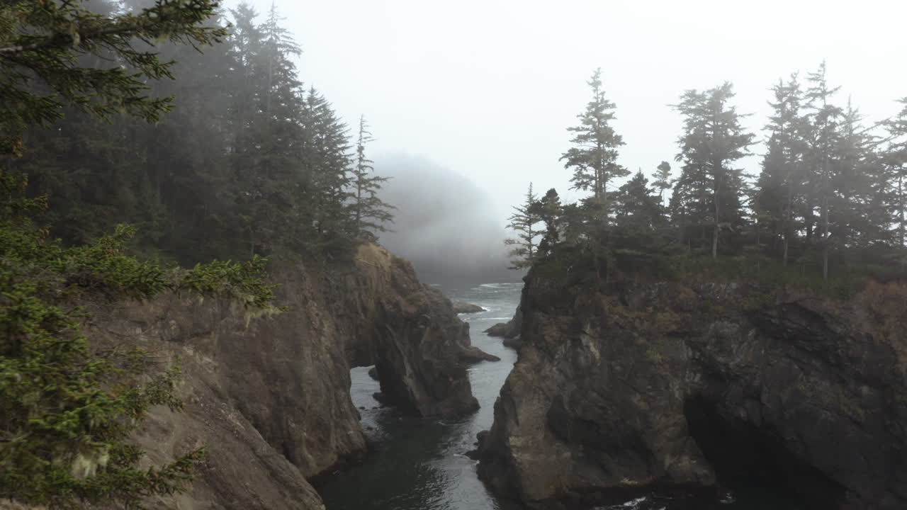 Aerial view passing a tree, toward cliffs on the foggy coast of the Samuel H