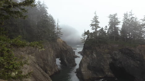 Aerial-view-passing-a-tree,-toward-cliffs-on-the-foggy-coast-of-the-Samuel-H